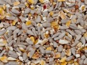 High Energy Wild Bird Seed Mix available from Seed To Feed