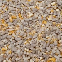 If you hate seed growth under your bird feeders and tables, our "No Grow" mix is perfect for you. Available now at Seed To Feed