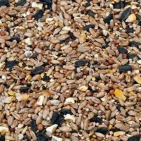 Hall Farm's premier wild bird mix. | Seed To Feed