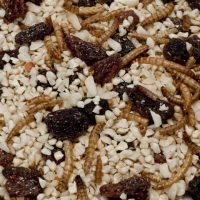 A special ground mix suitable for both robins and hedgehogs. Available to buy at Seed To Feed