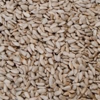 Sunflower hearts are sunflower seeds with the husks removed. It makes it a great choice for feeding most birds with less mess than standard seed. You can buy sunflower hearts online here at Seed To Feed